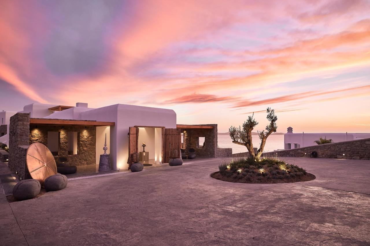Amazon Mykonos Suites & Spa Agios Ioannis Diakoftis エクステリア 写真