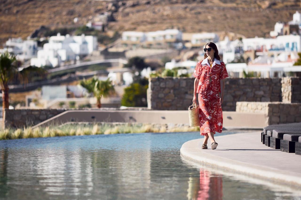 Amazon Mykonos Suites & Spa Agios Ioannis Diakoftis エクステリア 写真